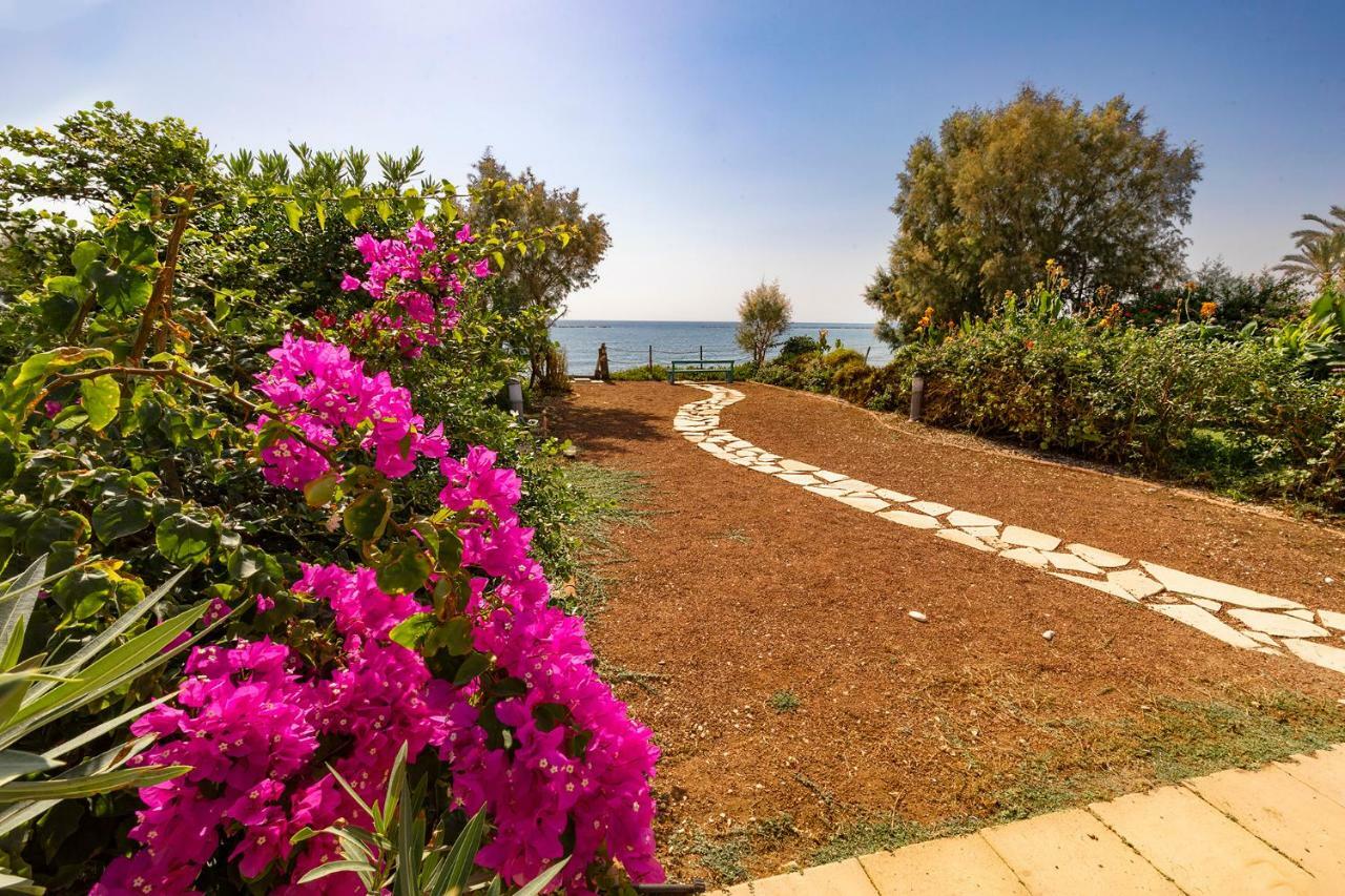 Mariliz Apartment Larnaca Exterior photo